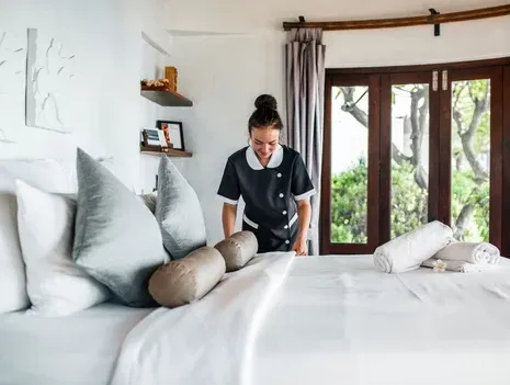 Service de ménage professionnel à Trie Sur Baïse pour gîtes et domaines, Lannemezan, MSEC PRO
