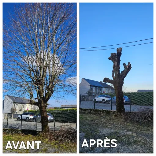 Meilleur paysagiste à Lannemezan, besoin de travaux dans votre jardin ?, Lannemezan, MSEC PRO