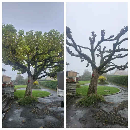 Qu'est-ce que l'aménagement paysager à Lannemezan et les alentours ?, Lannemezan, MSEC PRO