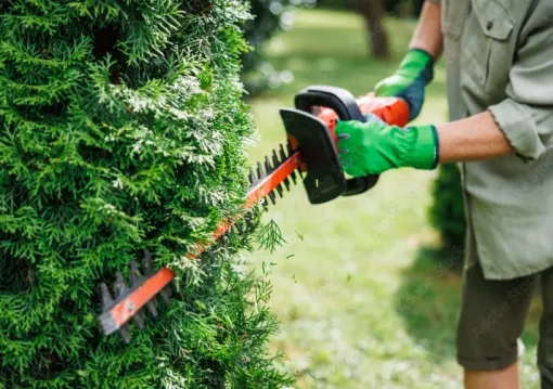 Entretien de jardin pour copropriétés à Bagnère de Bigorre, Lannemezan, MSEC PRO