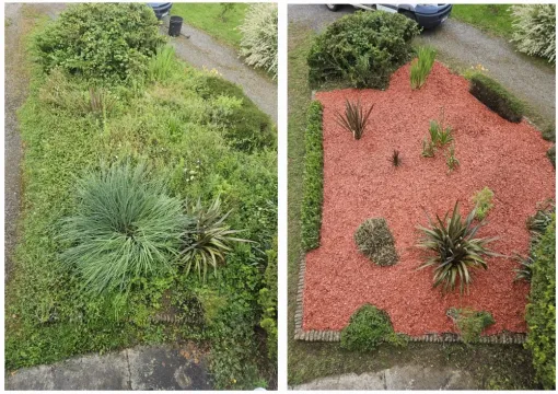 MSEC Pro : entreprise de création d'espaces verts à Lannemezan, Lannemezan, MSEC PRO