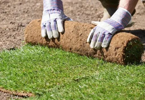 Engazonnement naturel à Lannemezan, un gazon durable et esthétique, Lannemezan, MSEC PRO