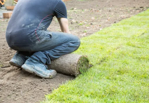 Engazonnement semi-synthétique à Tarbes : l'alternative pratique et résistante, Lannemezan, MSEC PRO