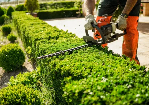 Entretien et aménagement espace vert à Lannemezan pour les particuliers et professionnels, Lannemezan, MSEC PRO