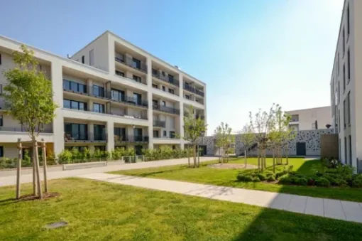 Entretien de jardins de copropriétés à Tarbes : préparation du printemps, Lannemezan, MSEC PRO