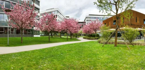 Entretien des espaces verts d'entreprise à Lannemezan, Lannemezan, MSEC PRO