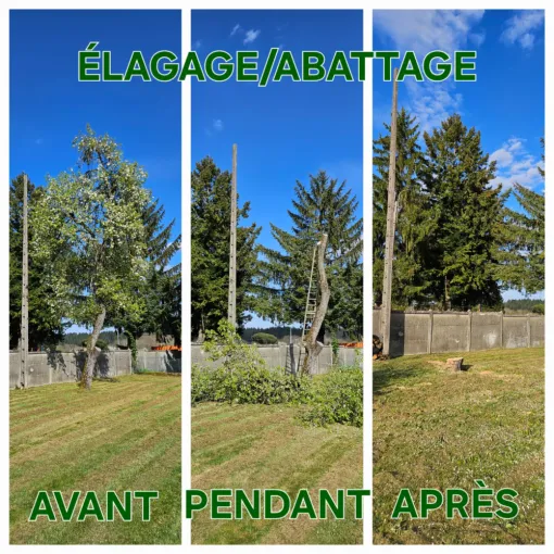 Elagage d'arbre à Lannemezan et les environs