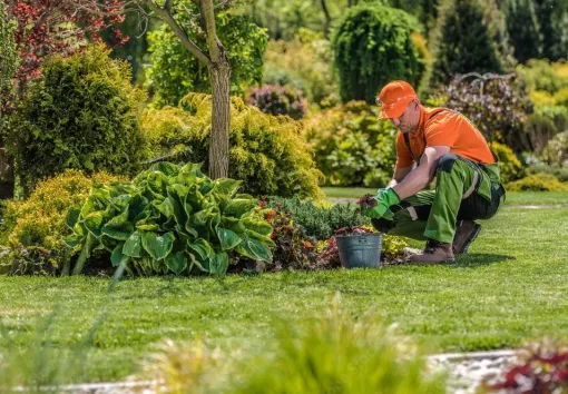 Paysagiste à Lannemezan, un professionnel qui vous aide à choisir des végétaux adaptés, Lannemezan, MSEC PRO