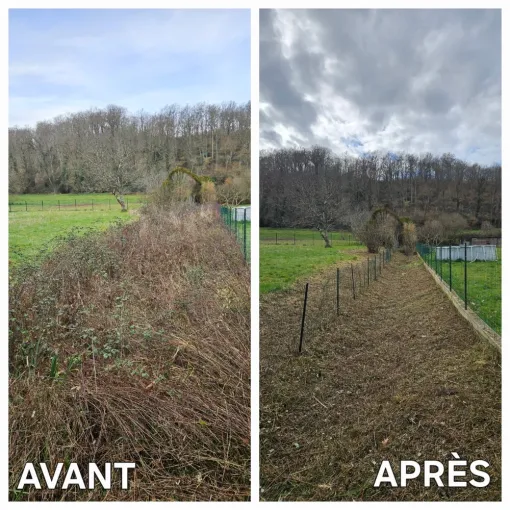 Débroussaillage pour les entreprises à Lannemezan et les environs, Lannemezan, MSEC PRO