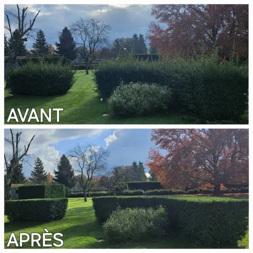 Entretien des espaces verts d’entreprise à Tarbes : préparez vos extérieurs pour l’automne, Lannemezan, MSEC PRO