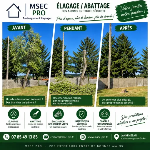 Elagage d'arbres à la Barthe de Neste, Lannemezan, MSEC PRO