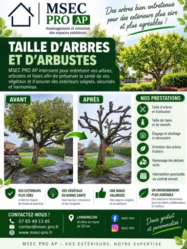 Tailleux d'arbres pour les entreprises de Lannemezan, Lannemezan, MSEC PRO