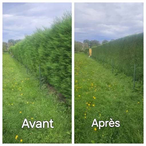 Contrat d’entretien d’espaces verts pour entreprise à Tarbes : une solution pour des extérieurs entretenus toute l’année, Lannemezan, MSEC PRO