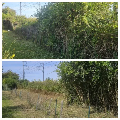 Demandez votre devis d’entretien d’espaces verts pour entreprise à Saint Gaudens, Lannemezan, MSEC PRO