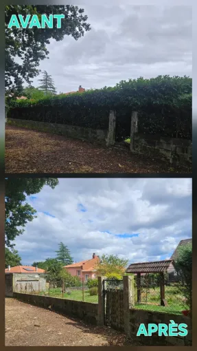 Dessouchage de haie à Tarbes, Lannemezan, MSEC PRO