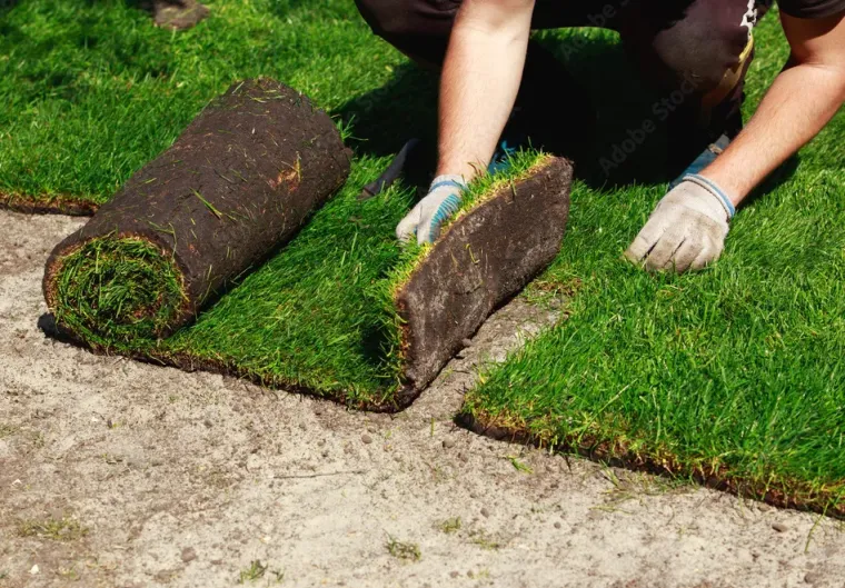 Engazonnement naturel ou semi-synthétique : comment faire le bon choix ?, Lannemezan, MSEC PRO