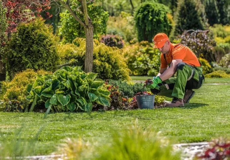 Pourquoi les entreprises de Lannemezan investissent dans leurs espaces verts, Lannemezan, MSEC PRO