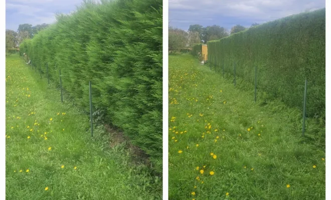 Meilleur paysagiste à Lannemezan, besoin de travaux dans votre jardin ?, Lannemezan, MSEC PRO